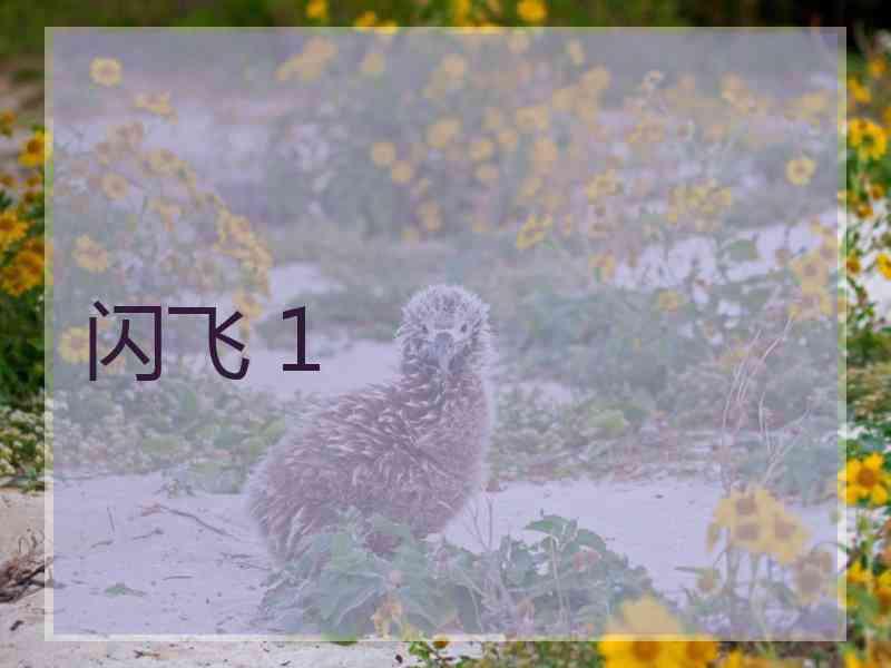闪飞 1