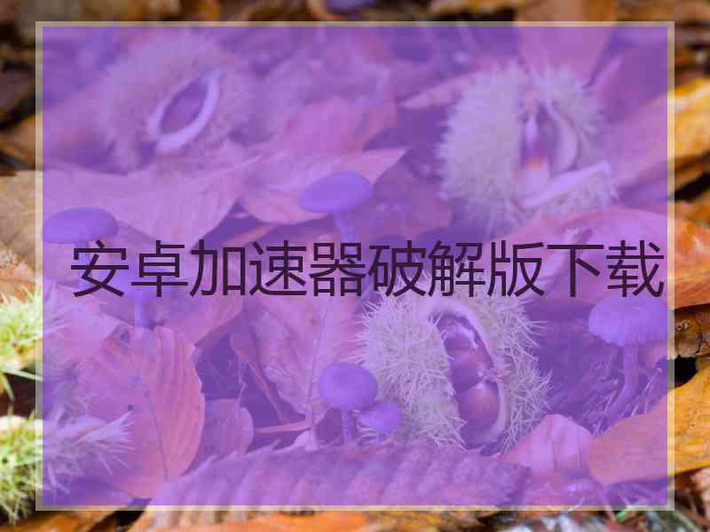 安卓加速器破解版下载