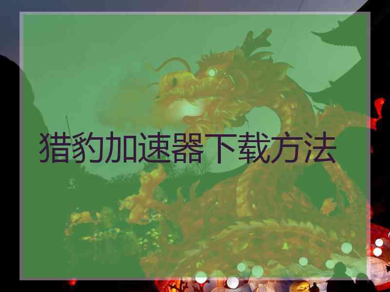 猎豹加速器下载方法