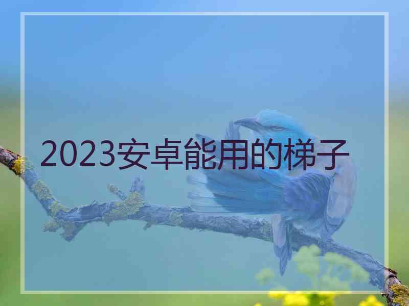 2023安卓能用的梯子