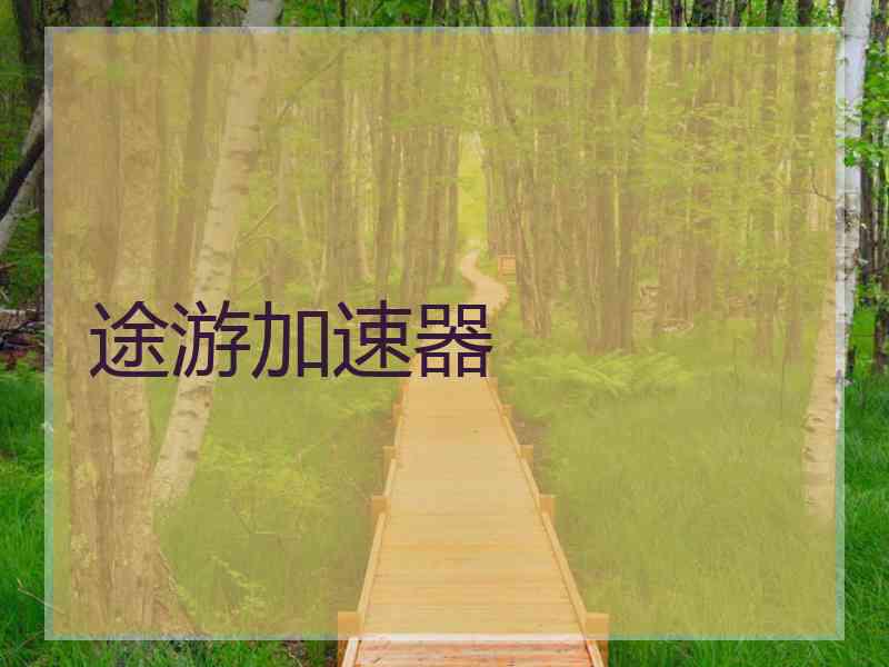 途游加速器