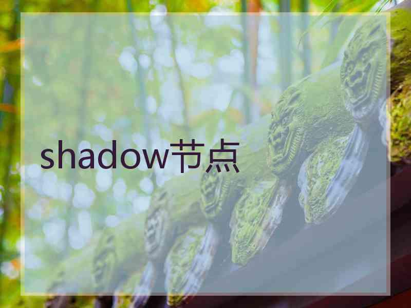 shadow节点
