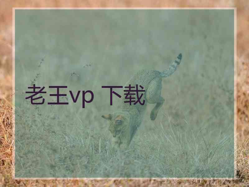 老王vp 下载