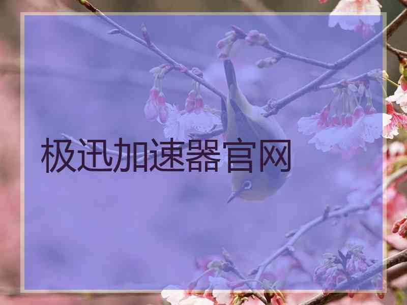 极迅加速器官网