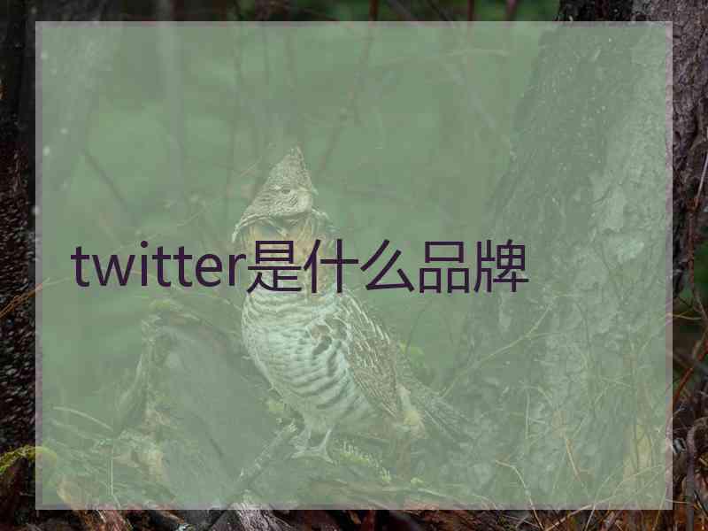 twitter是什么品牌