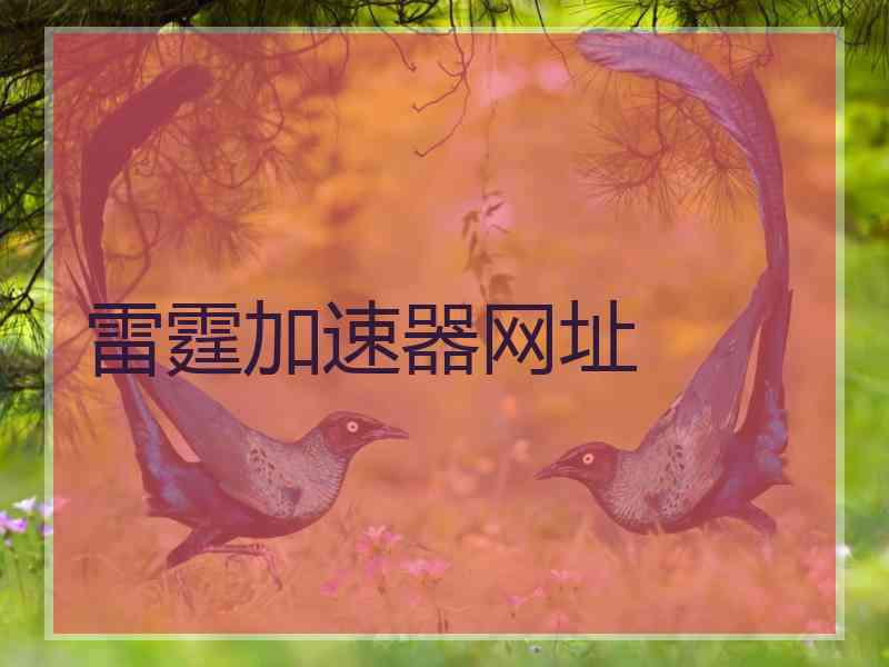 雷霆加速器网址