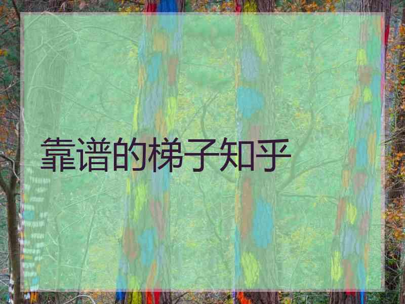 靠谱的梯子知乎