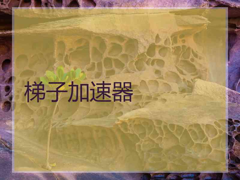 梯子加速器