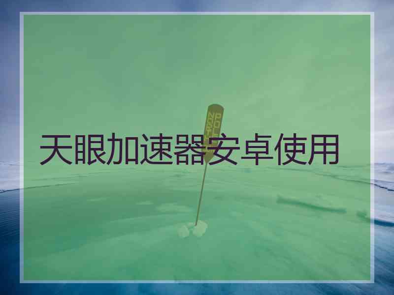 天眼加速器安卓使用