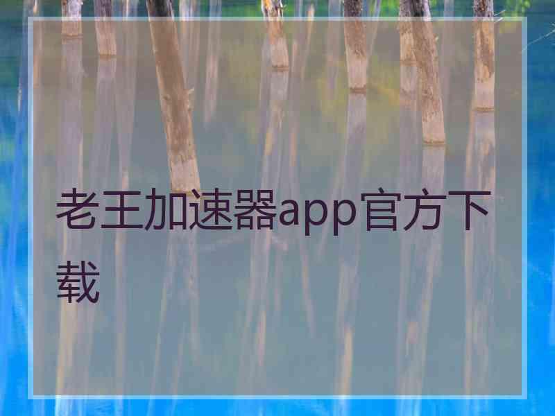 老王加速器app官方下载
