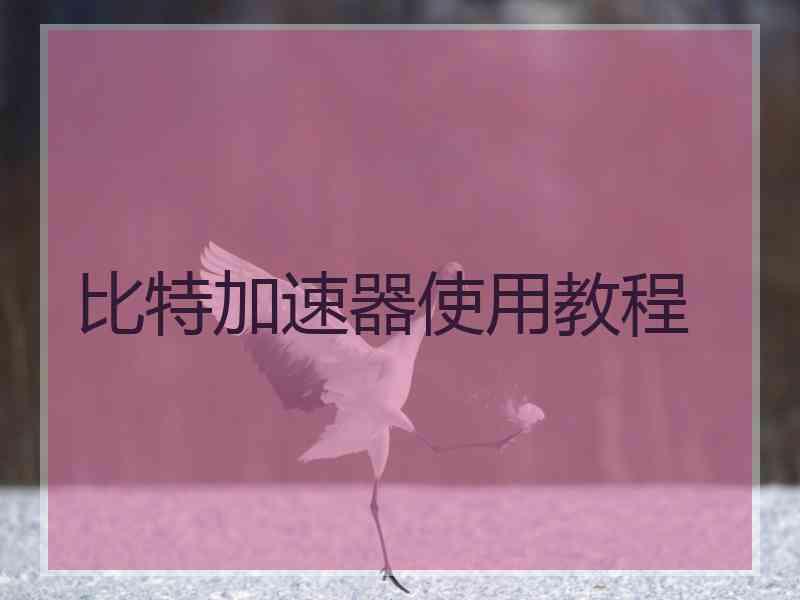 比特加速器使用教程