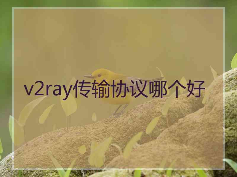 v2ray传输协议哪个好
