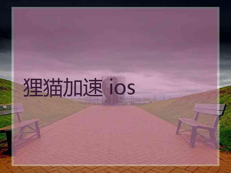 狸猫加速 ios