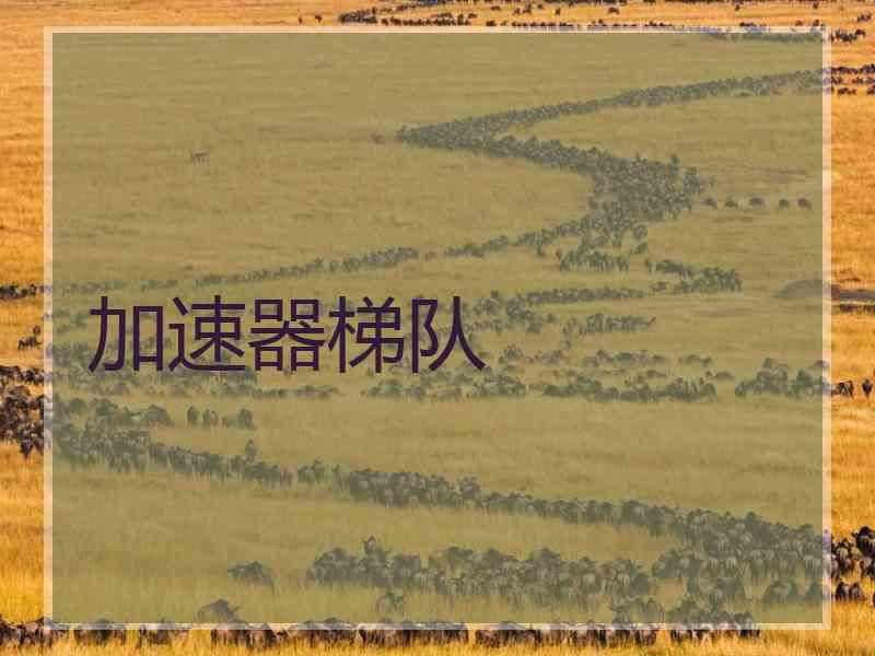 加速器梯队