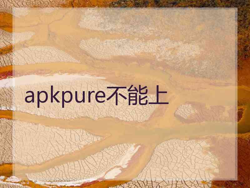 apkpure不能上