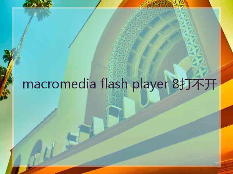 macromedia flash player 8打不开