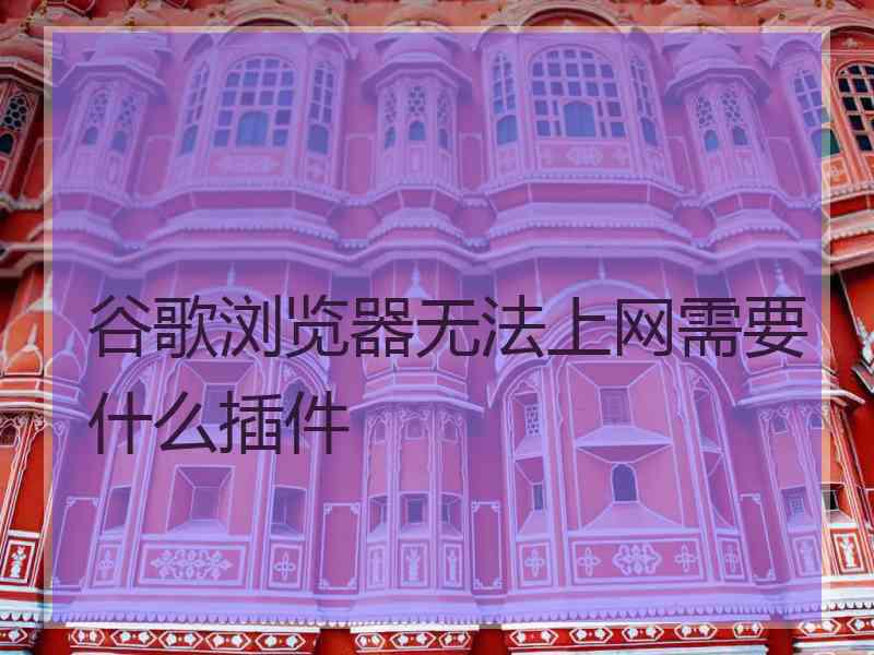 谷歌浏览器无法上网需要什么插件