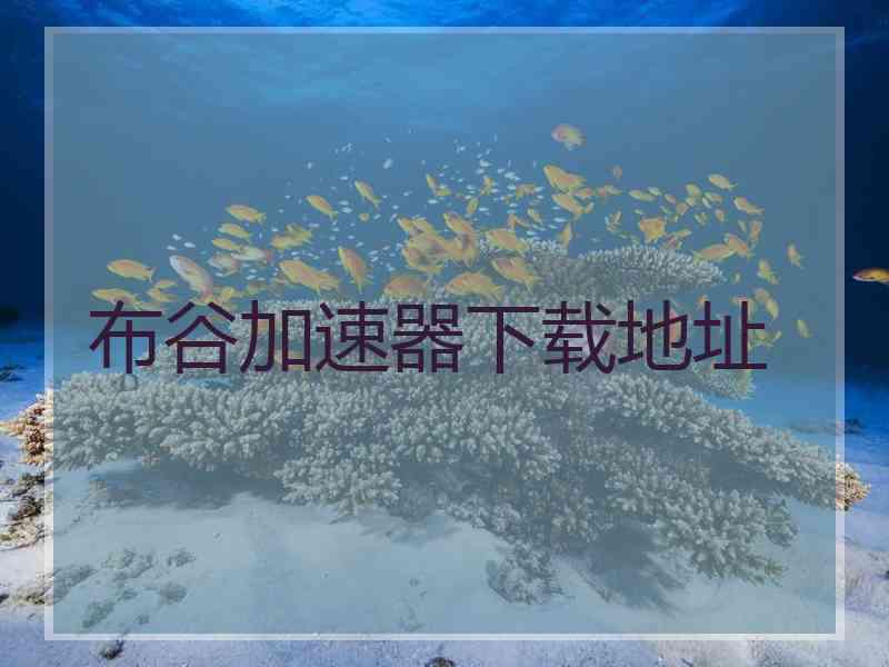 布谷加速器下载地址