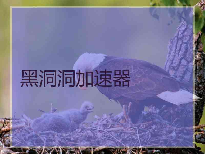 黑洞洞加速器