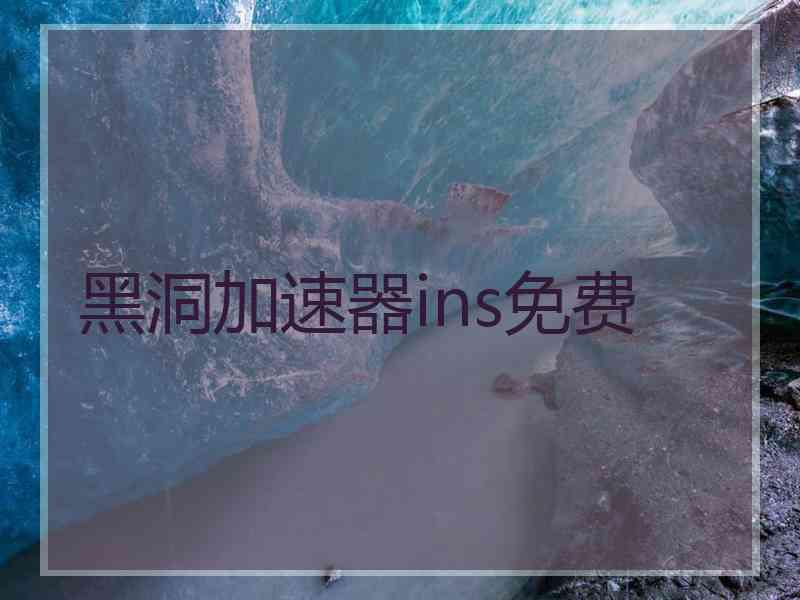 黑洞加速器ins免费
