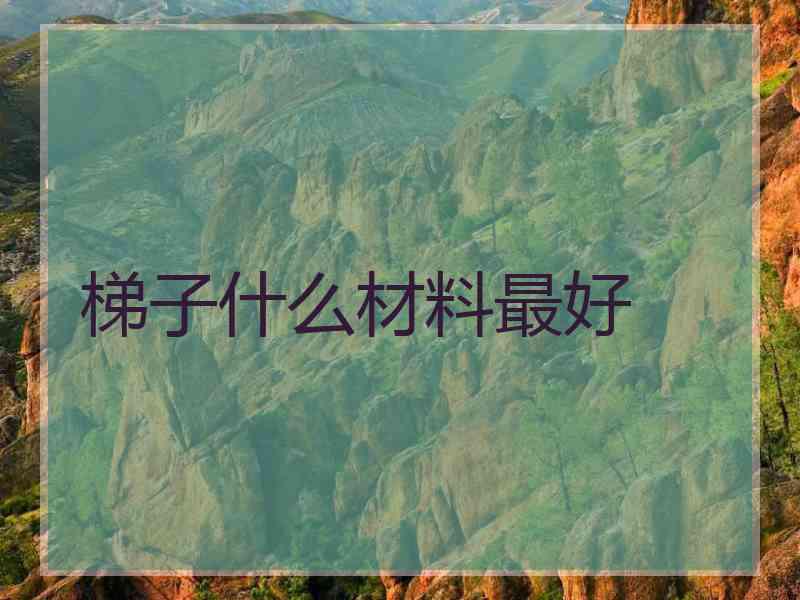 梯子什么材料最好