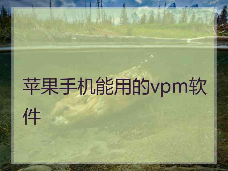 苹果手机能用的vpm软件