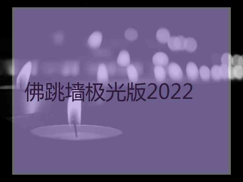 佛跳墙极光版2022