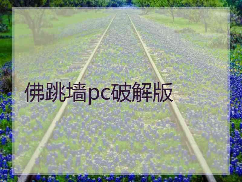佛跳墙pc破解版