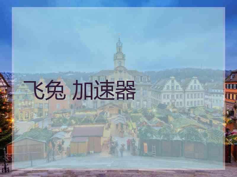 飞兔 加速器