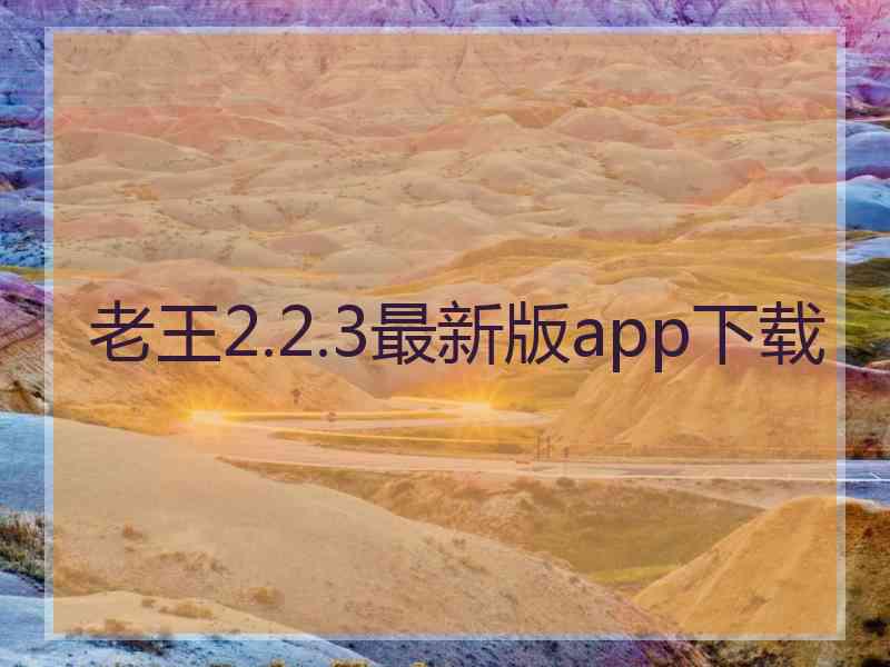 老王2.2.3最新版app下载