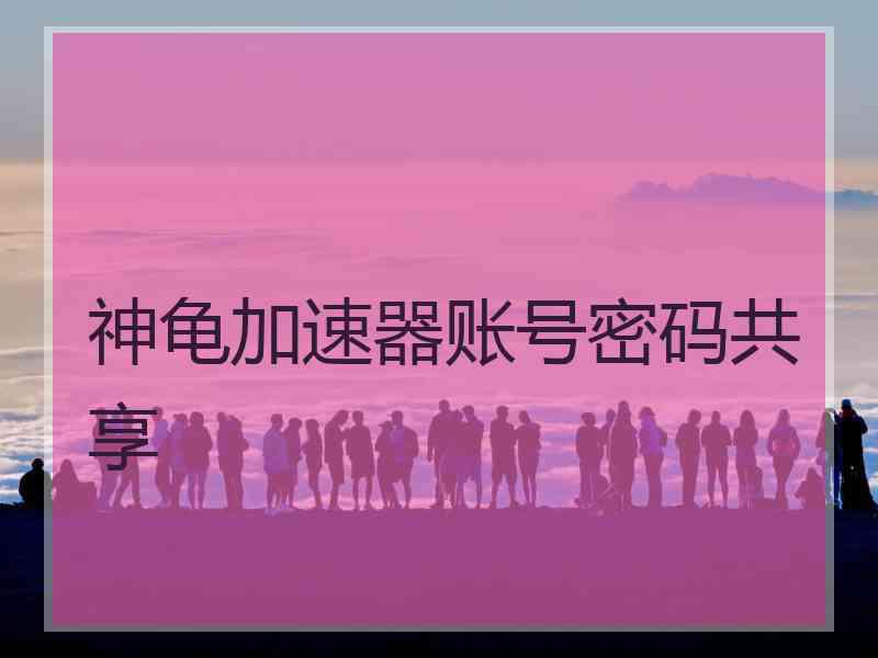 神龟加速器账号密码共享