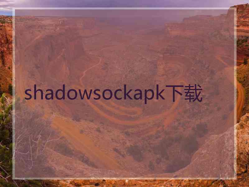 shadowsockapk下载