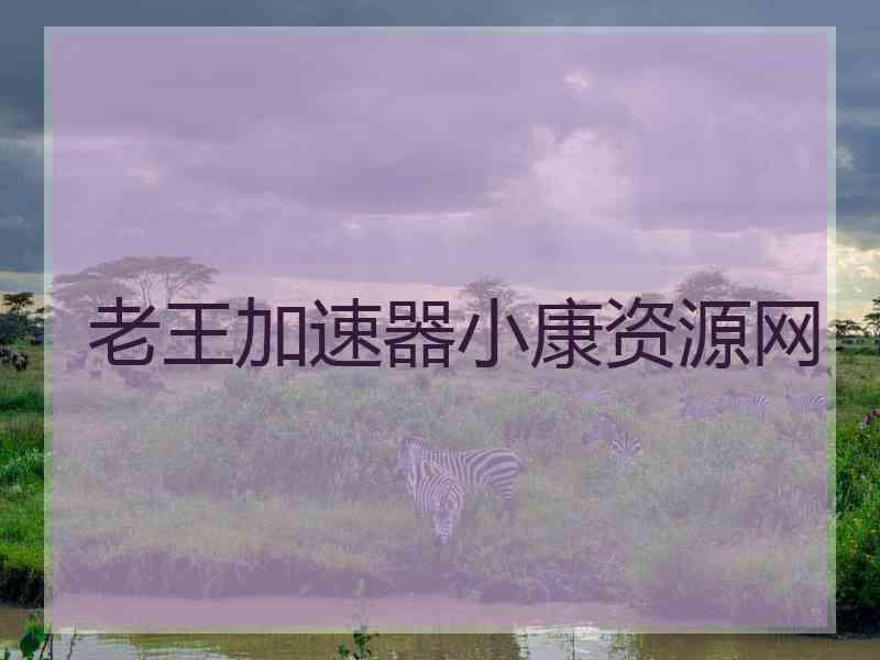 老王加速器小康资源网