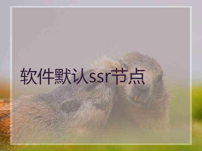 软件默认ssr节点