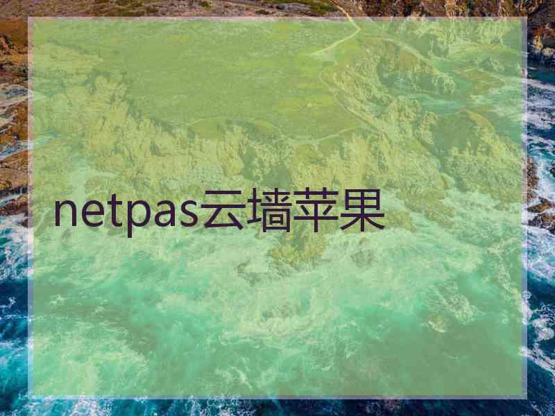netpas云墙苹果