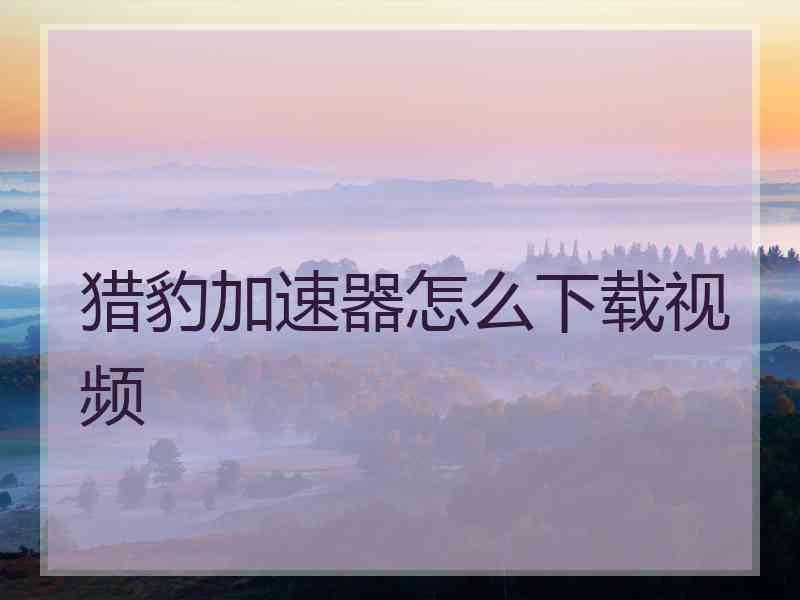 猎豹加速器怎么下载视频