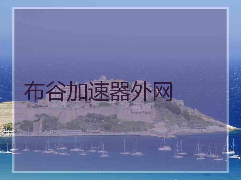 布谷加速器外网