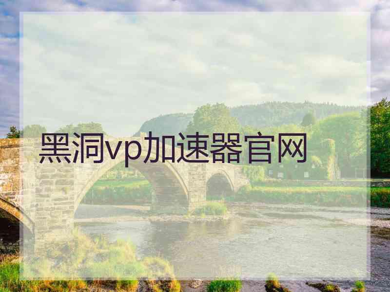 黑洞vp加速器官网