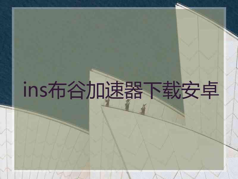 ins布谷加速器下载安卓