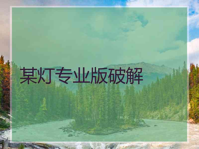 某灯专业版破解