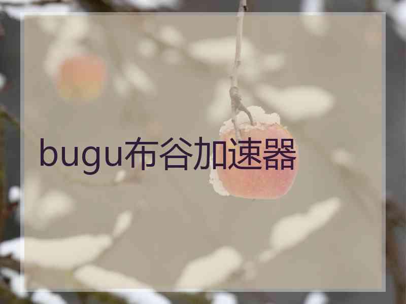 bugu布谷加速器