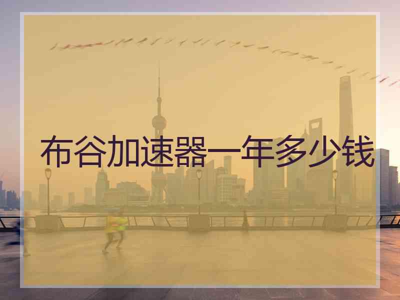 布谷加速器一年多少钱
