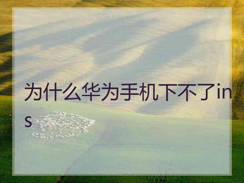 为什么华为手机下不了ins
