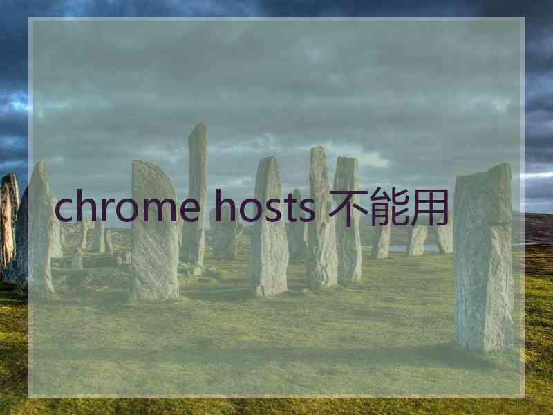 chrome hosts 不能用