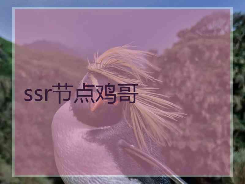 ssr节点鸡哥