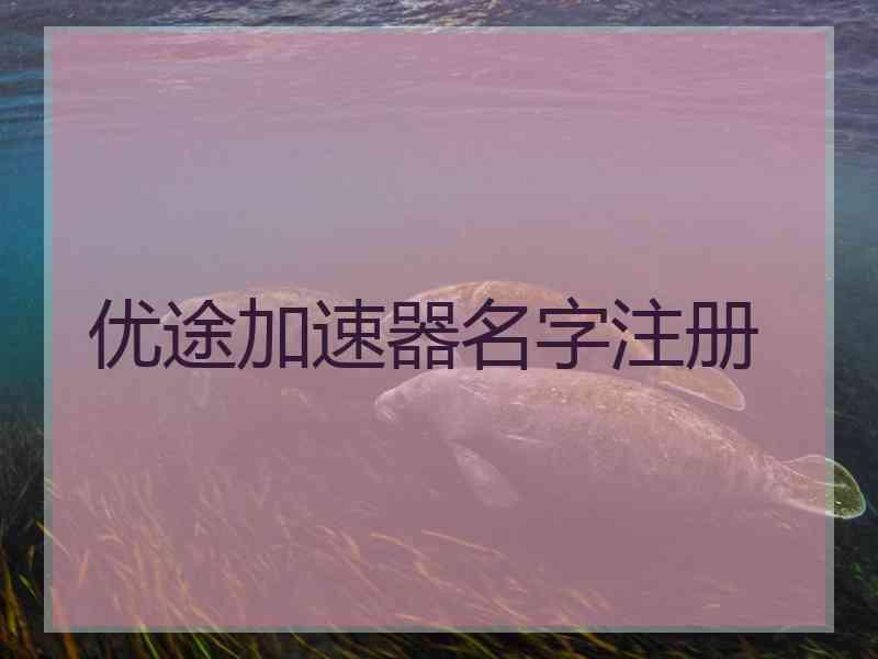 优途加速器名字注册
