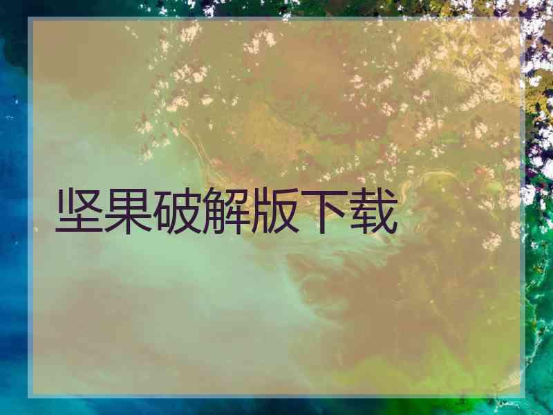 坚果破解版下载