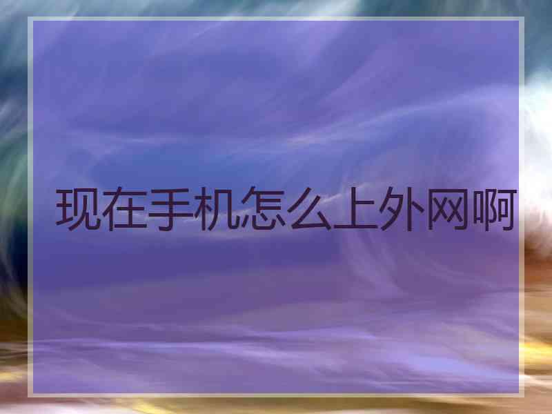 现在手机怎么上外网啊
