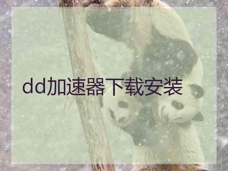 dd加速器下载安装