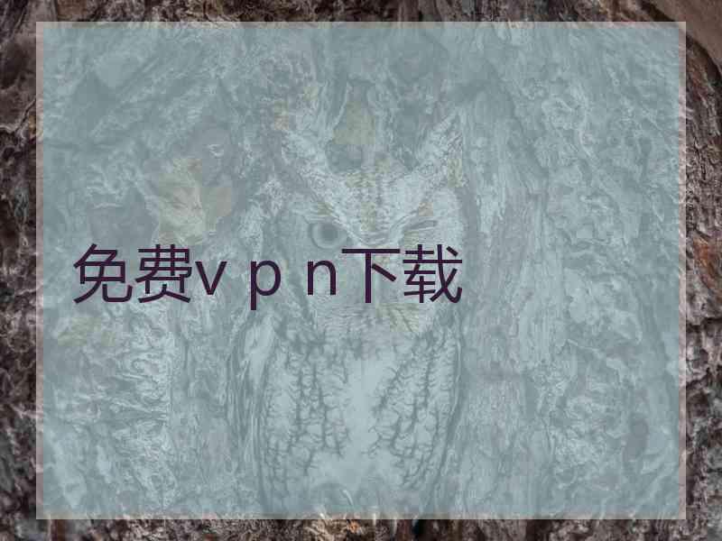 免费v p n下载